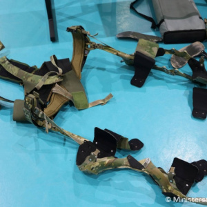 Exoskeleton 2019 na trenčianskom ostrove