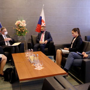 Rokovanie_delegacii_MOSR_a_britskej_ambasady