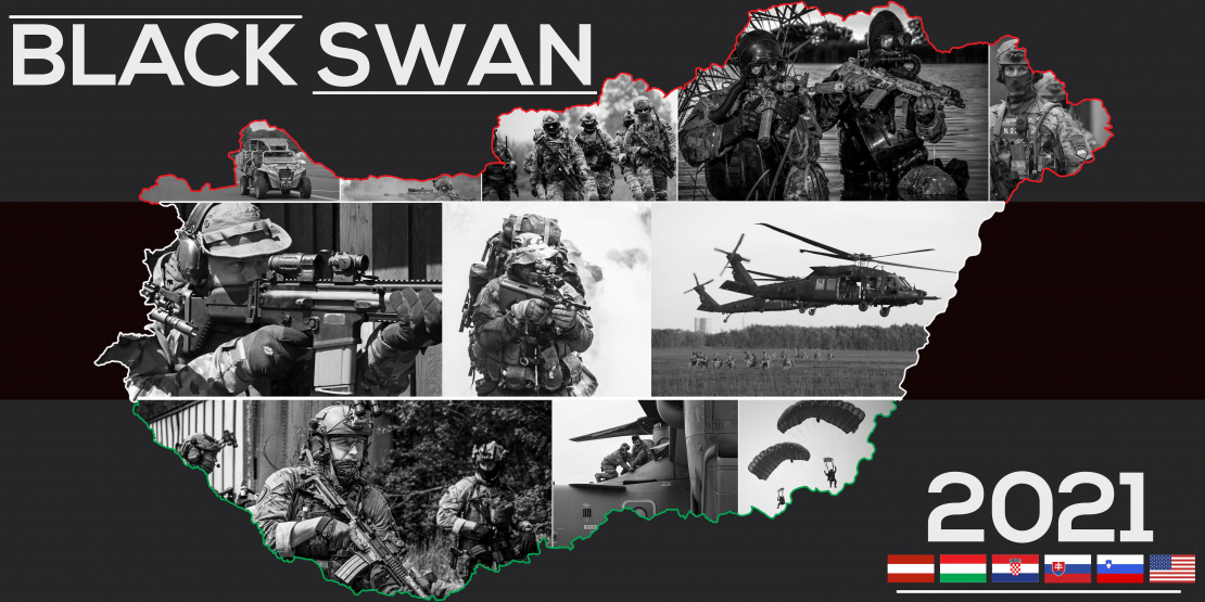 BLACK SWAN BANNER 1.0