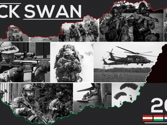 BLACK SWAN BANNER 1.0