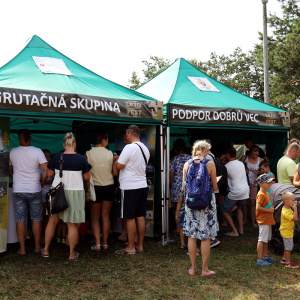 Vojenský LetoFest  Zemplínska Šírava (13)
