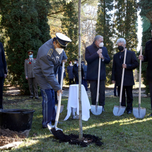 Pietna spomienka na Ústrednom vojenskom cintoríne Rumunskej kráľovskej armády vo Zvolene_MOSR (12)