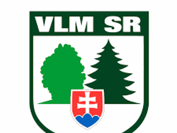 VLM SR