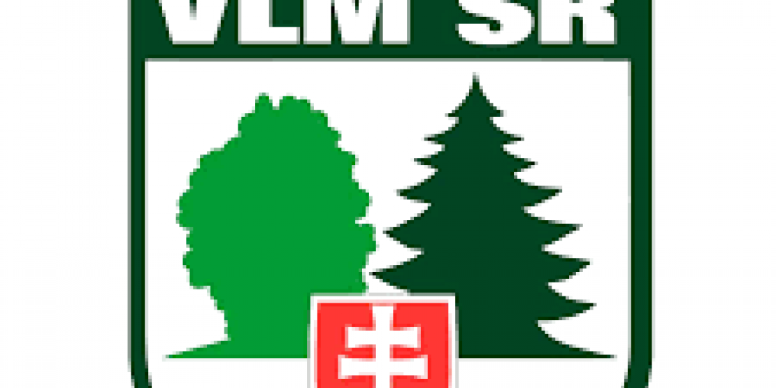 VLM SR