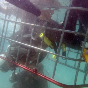 IMG-1103