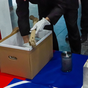 Prevoz ostatkov neznámeho vojaka (8)
