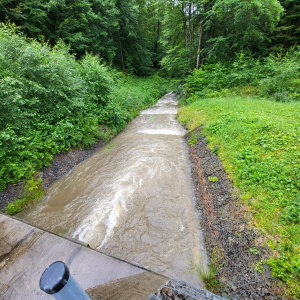 kapová 2