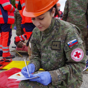 Slovenskí a českí vojenskí hasiči si na Lešti preverili spoluprácu